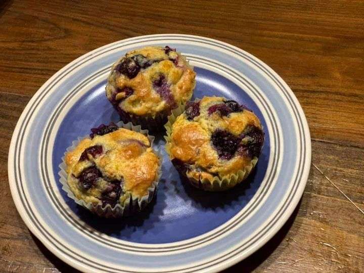 Keto Blueberry Cupcakes