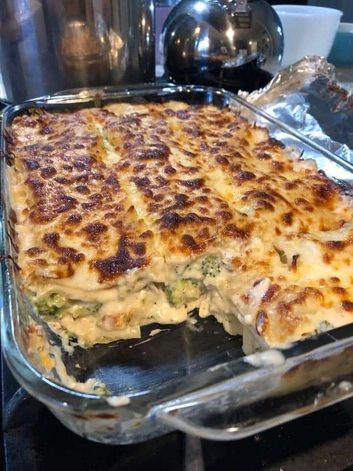 Chicken broccoli lasagna