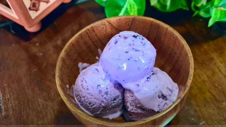 Keto Mulberry Ice Cream