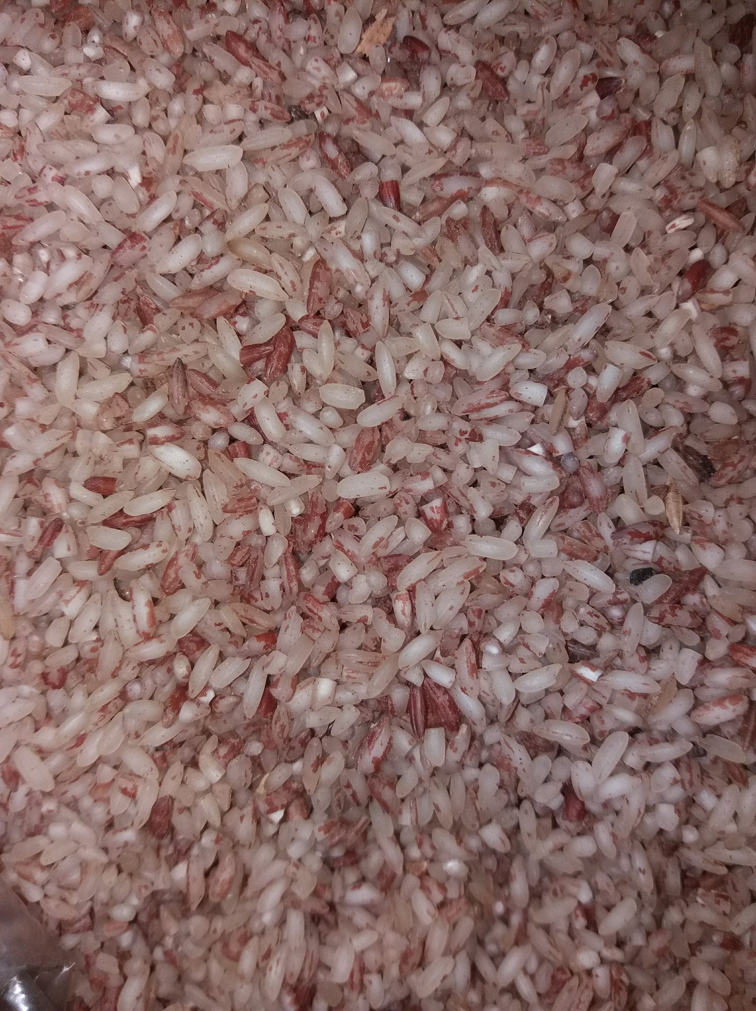 Is Brown rice easy to digest