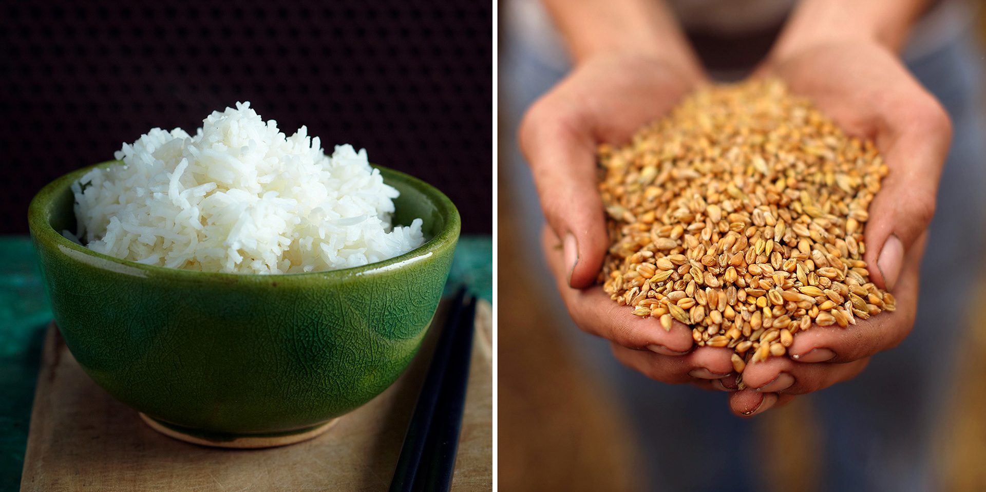 Rice versus wheat