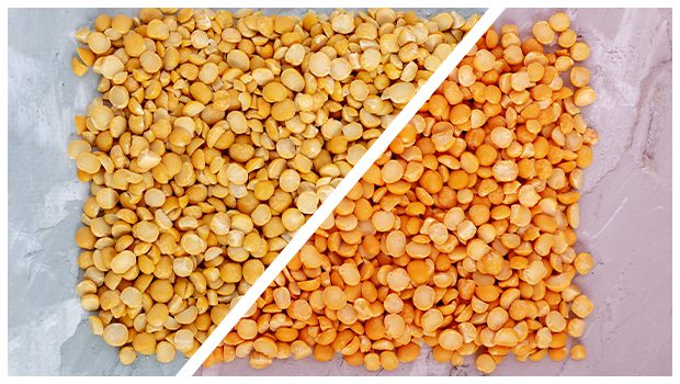 Masoor Dal and Toor Dal