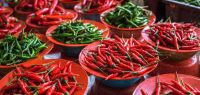 Types of Indian Chillies
